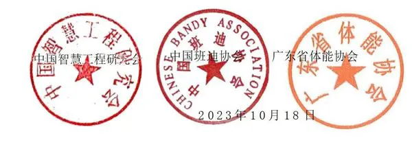 如何从篮球传说的故事中获得训练灵感_2